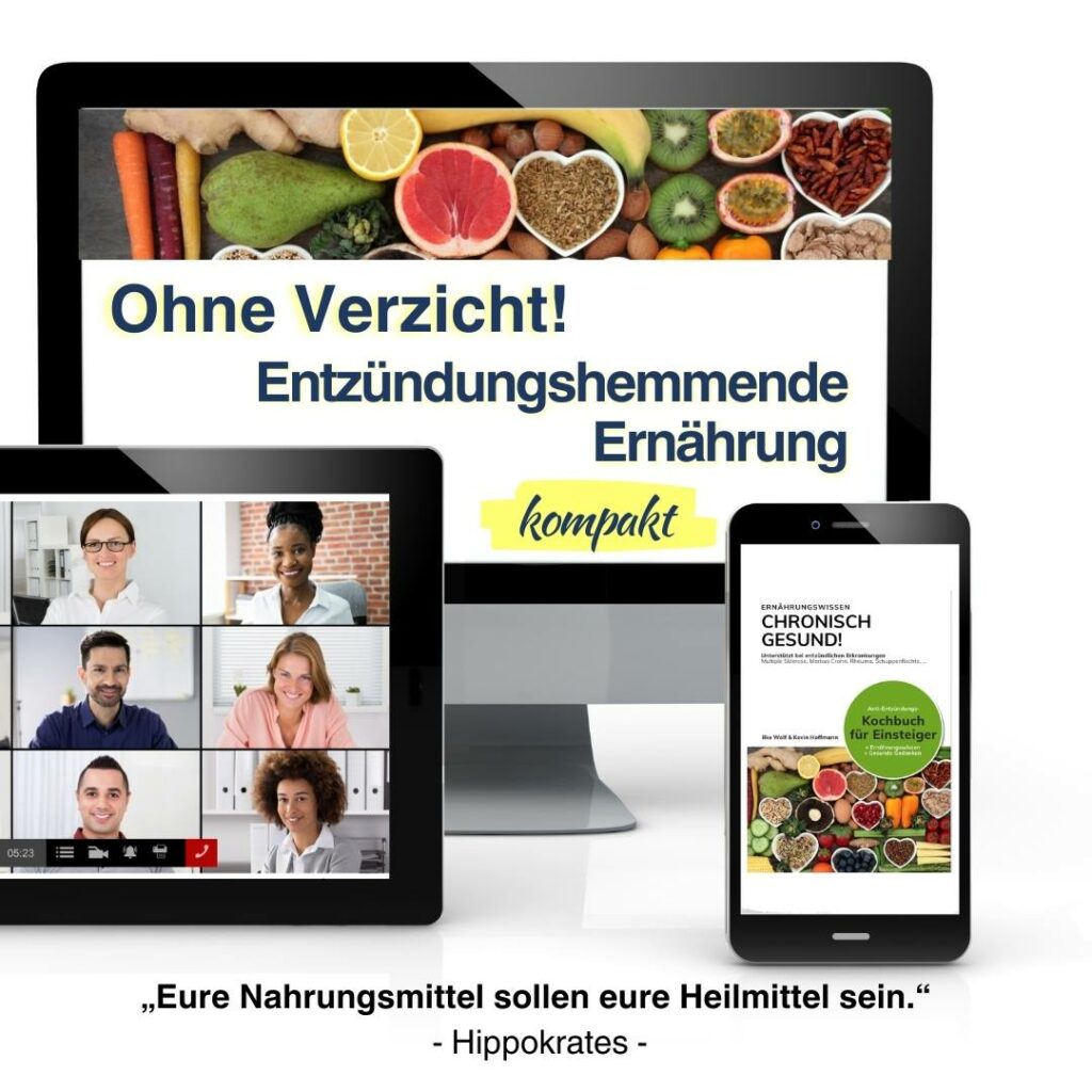 Entzündungshemmende Ernährung bei MS Online-Kurs Mokup