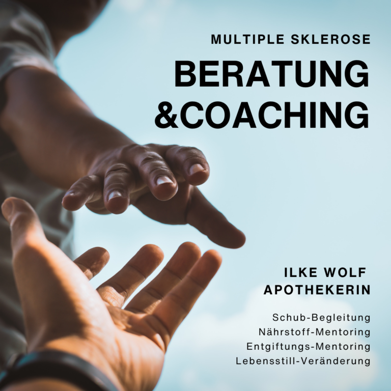 Hilfe bei MS Beratung und Coaching bester MS-Experte